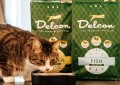 Delcon-032.jpg
